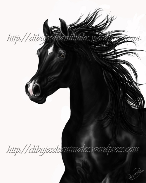 Dibujo digital de caballo árabe negro